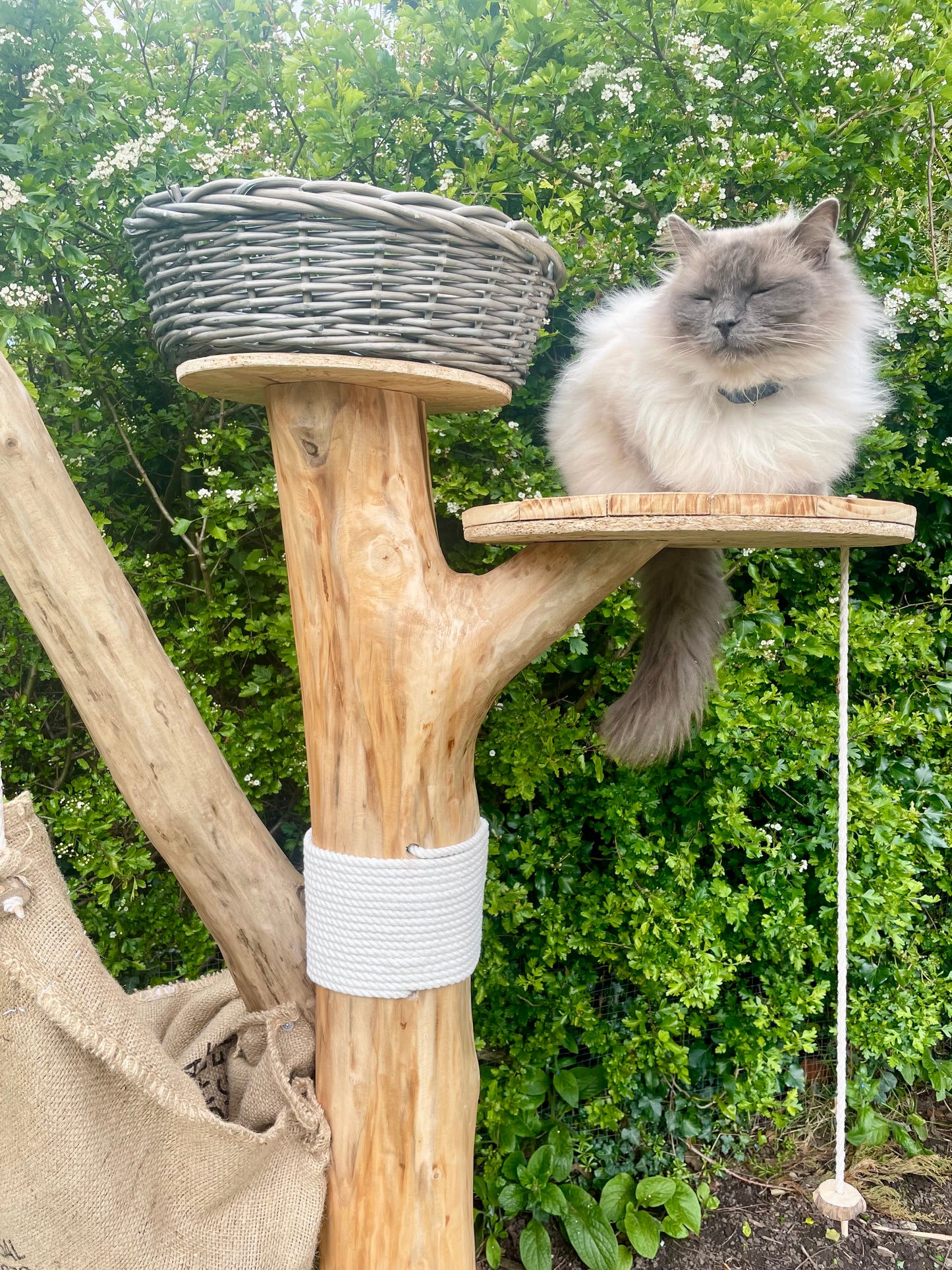 Mr Whiskers Whimsical Watch Tower