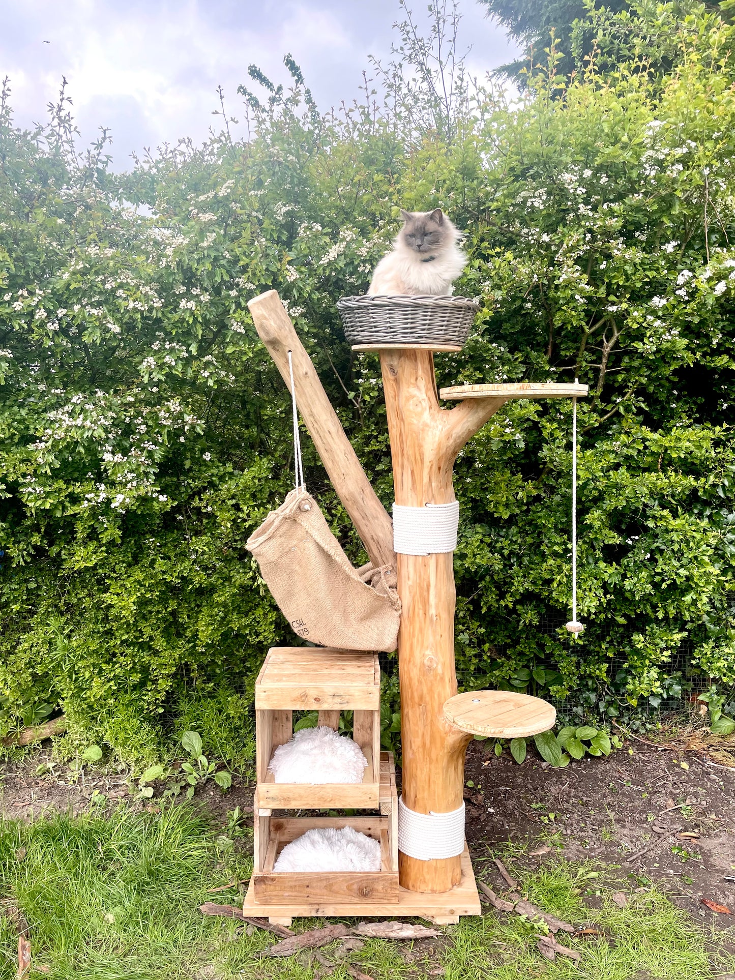 Mr Whiskers Whimsical Watch Tower