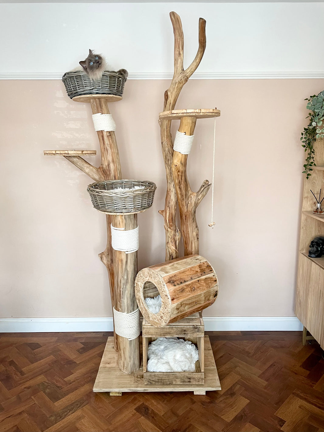 Cat Trees – Treow.shop