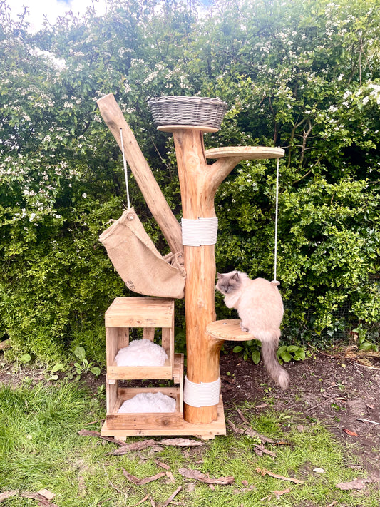 Mr Whiskers Whimsical Watch Tower