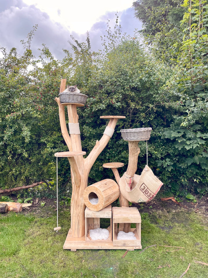 Cat Trees – Treow.shop