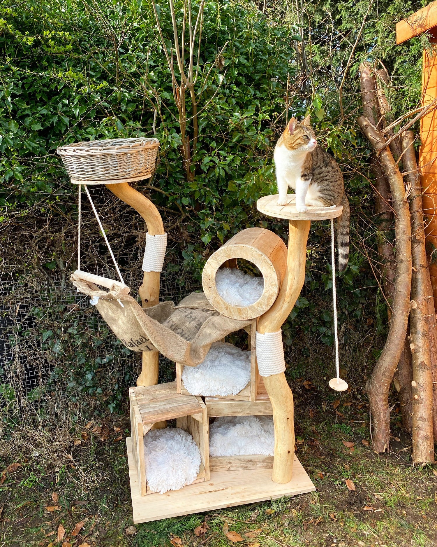 Cat Tree | Cat Tower | Cat Furniture | Cat Activity Centre – Treow.shop